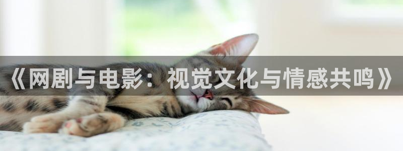 关于熊猫的：《网剧与电影：视觉文化与情感共鸣》