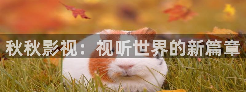 熊猫电影yy8y3免费观看最新一：秋秋影视：视听世界的新篇章