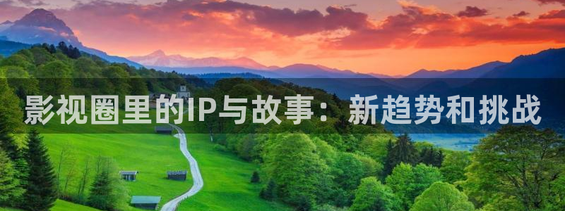 熊猫视频网站：影视圈里的IP与故事：新趋势和挑战