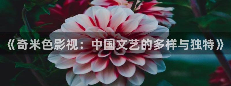 熊猫电视好吗：《奇米色影视：中国文艺的多样与独特》
