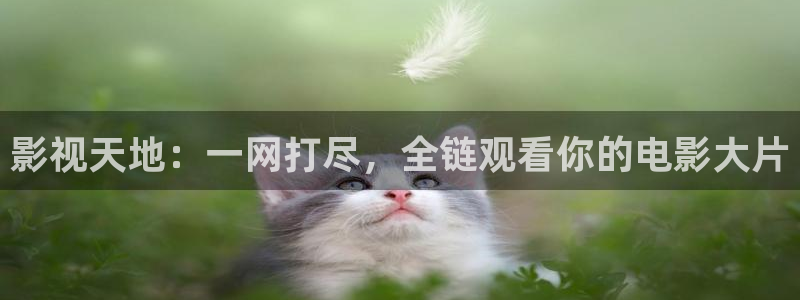 熊猫电影网在线观看完整版：影视天地：一网打尽，全链观看你的电影大片